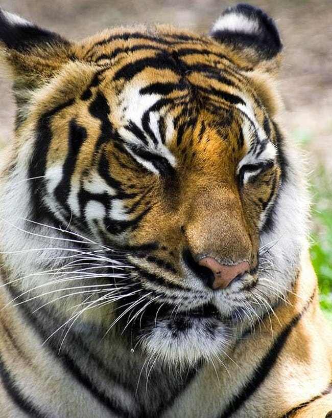 -29